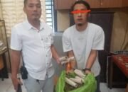 Pengedar 1 Kg Ganja Ditangkap Polisi di Rumah Kost