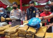 Polrestabes Medan Musnahkan 84 Kg Ganja dari 9 Tersangka