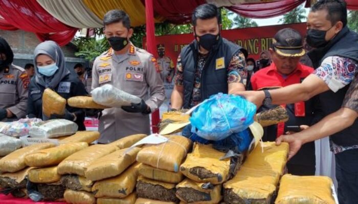 Polrestabes Medan Musnahkan 84 Kg Ganja dari 9 Tersangka