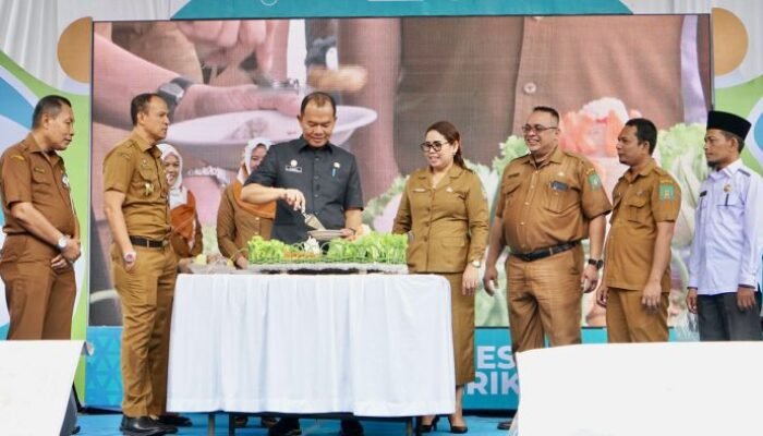 Puncak HKN ke-58, Pemkab Langkat Gelar Berbagai Kegiatan