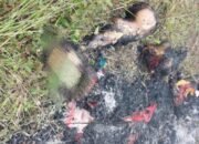 Sadis! Suami Mutilasi Istri di Kampung Pasaribu Dolok Sanggul, Potongan Kaki Dipanggang