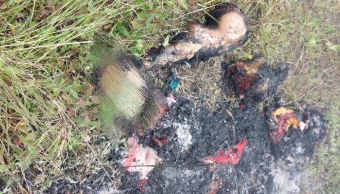 Sadis! Suami Mutilasi Istri di Kampung Pasaribu Dolok Sanggul, Potongan Kaki Dipanggang