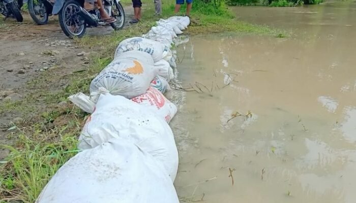 Air Sungai Dalu-Dalu Surut, 10 Desa di Kecamatan Air Putih Lega