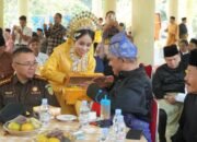 Afandin Hadiri Seni Budaya Mabmi: Pemkab Langkat Siap Bersinergi Membudayakan Kesenian Etnis