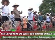 Kawasan Pertanian Terpadu, Wamentan Bersama Bupati Dairi Tanam Sorgum di Desa Lau Mil