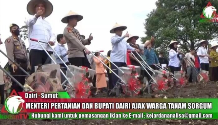 Kawasan Pertanian Terpadu, Wamentan Bersama Bupati Dairi Tanam Sorgum di Desa Lau Mil