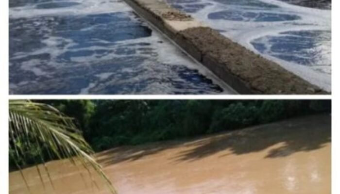 PKS PT. Siringo Ringo Gunakan Air Sungai Bilah untuk Pengolahan CPO