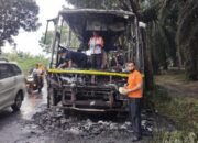 22 Penumpang Selamat Dalam Insiden Kebakaran Bus Pelita Paradep di Jalinsum