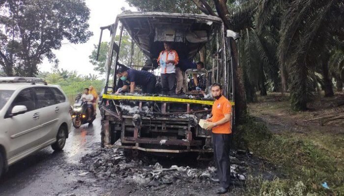 22 Penumpang Selamat Dalam Insiden Kebakaran Bus Pelita Paradep di Jalinsum