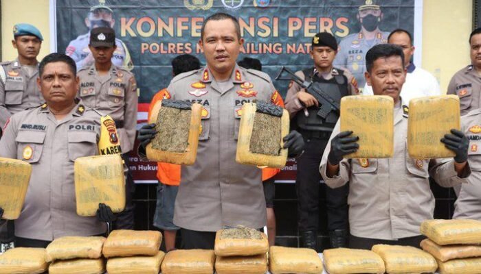 Polres Madina Ciduk 2 Kurir Bersama 23 Kg Ganja