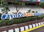 Margasu: Edy Rahmayadi Jangan Terburu-buru Pilih Dirut Bank Sumut