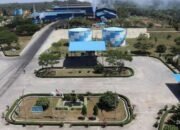 Wilmar jadi Pembeli Terbesar, STA Resources Cetak Penjualan Rp 6 Triliun