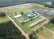 Sejak 2009, Wilmar Kelola 18 Sekolah di Tengah Perkebunan Kebun Sawit