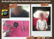Dua Residivis Pencuri Gudang Sawit Ditangkap