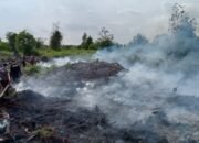 Diduga Puluhan Hektar Lahan PT Delima Makmur Dibakar