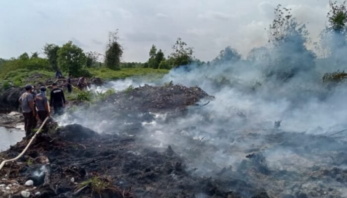 Diduga Puluhan Hektar Lahan PT Delima Makmur Dibakar