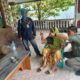 Anggota Bawaslu Provinsi Sumatera Utara Suhadi Sukendar Situmorang saat Uji Petik Hasil Coklit di Kelurahan Kel Umber Karya, Kecamatan Binjai Timur, Selasa (14/3/2023)