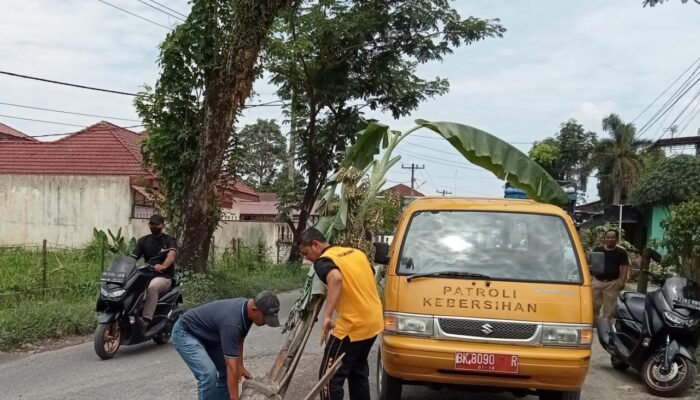 Warga Kota Binjai Gelar Aksi Tanam Pohon Pisang di Jalan