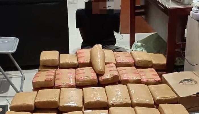 Mahasiswa Terlibat Peredaran 135 Kg Ganja Ditangkap di Kampus