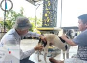Menghindari Penyakit Rabies, Pemkab Dairi Imbau Masyarakat Segera Vaksinasi Anjing
