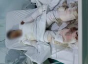 Pekerja Dapur Minyak Ilegal di Langkat Tewas, Dugaan Kuat Pemilik Jadi Tersangka