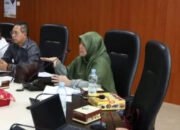 Wong Pimpin Rapat Pansus Tentang Disabilitas dan Lanjut Usia