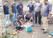 Polsek Tigalingga Mengamankan Seorang Wanita Diduga Pengedar dan Pemilik Ladang Ganja