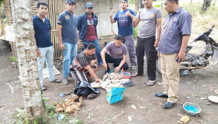 Polsek Tigalingga Mengamankan Seorang Wanita Diduga Pengedar dan Pemilik Ladang Ganja