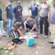 Foto : Kapolsek Tigalingga (Jongkok mengenakan kaos polisi) menemukan tanaman ganja dan diduga pemiliknya (wanita posisi jokok mengenakan duster) di Perladangan Dusun Lingga Pasar Desa Palding Kecamatan Tigalingga Kabupaten Dairi, Jumat (15/9/2023). (kedannews.com/Sondang Silalahi).