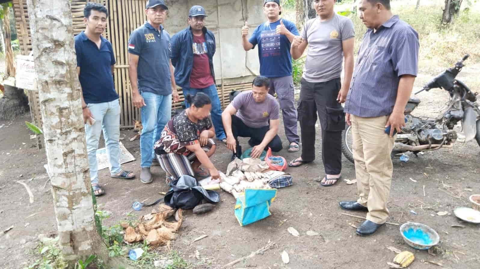 Foto : Kapolsek Tigalingga (Jongkok mengenakan kaos polisi) menemukan tanaman ganja dan diduga pemiliknya (wanita posisi jokok mengenakan duster) di Perladangan Dusun Lingga Pasar Desa Palding Kecamatan Tigalingga Kabupaten Dairi, Jumat (15/9/2023). (kedannews.com/Sondang Silalahi).