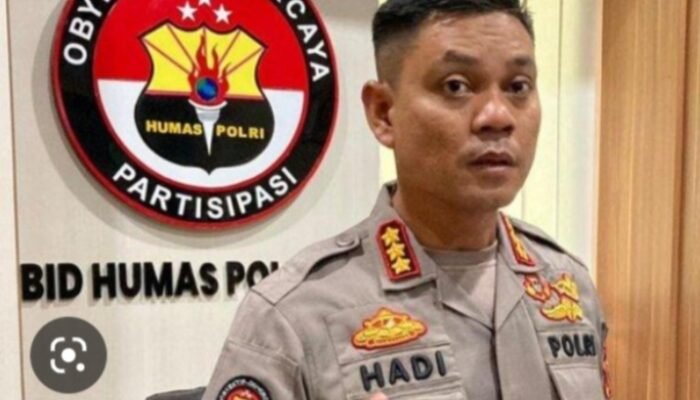 Polisi Buru Pemilik dan Pemesan Orang Utan yang Berhasil Diselamatkan di Medan