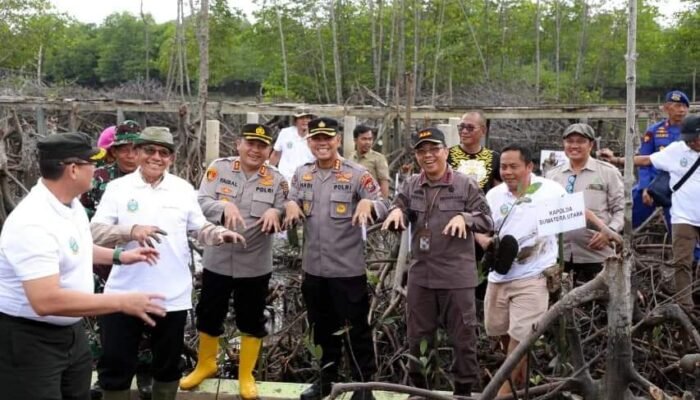 Polda-Pemprov Sumut Tanam 10 Ribu Pohon Mangrove di Langkat