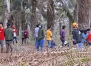 Sengketa Lahan Plasma Desa Sungai Sodong Kembali Memanas