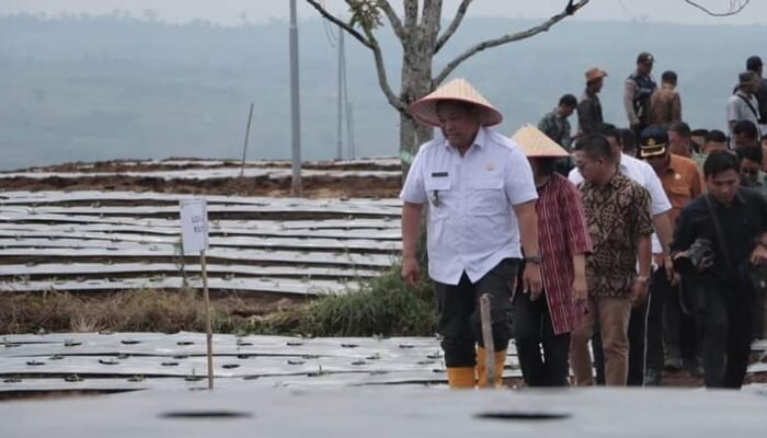 Pembangunan KPT Capai 95%, Bupati Dairi berterima Kasih ke Semua Pihak