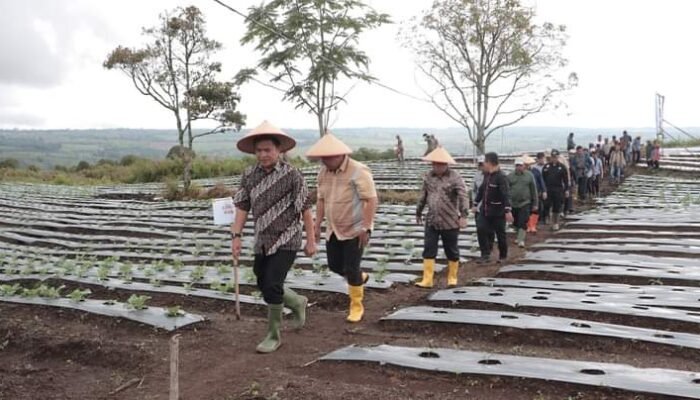 Petani Parbuluan V Dapat ‘Hadiah’ dari Pj. Gubsu Hassanudin