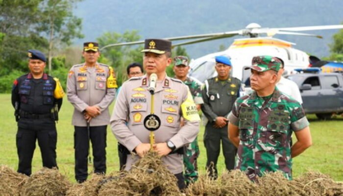 Kapoldasu dan Pangdam I/BB Pimpin Operasi Perburuan Ladang Ganja Terbesar di Madina