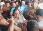 Kampanye Dihadiri 50.000 Orang Lebih, Ade Jona Dipuji Sukses Pimpin TKD Prabowo-Gibran Sumut