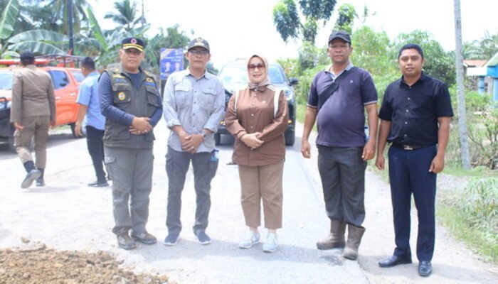 Plt Bupati Labuhanbatu Tinjau Perbaikan Jalan Lintas Bilah Hilir dan Panai Hulu 