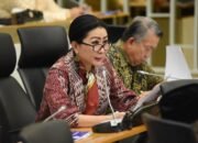 Legislator Usul Ada Audit Tahunan Kebun Binatang Buntut Tingginya Kematian Satwa