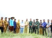 Plt Bupati Bersama Dandim 0209/LB Tinjau Lokasi Lahan Pertanian akan Dibangun Normalisasi Irigasi 