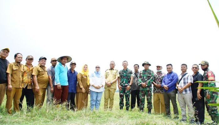 Plt Bupati Bersama Dandim 0209/LB Tinjau Lokasi Lahan Pertanian akan Dibangun Normalisasi Irigasi 