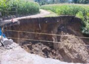 Polsek Tigalingga Lakukan Peninjauan Terhadap jalan yang Putus Akibat Longsor