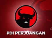 Nama Roby Barus Disebut di Sidang MK, Kader PDI-P Minta Partai Tindak Tegas