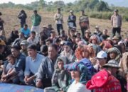Bangkitkan Kemandirian Petani, Bupati Dairi Tanam Kentang Swadaya di Parbuluan