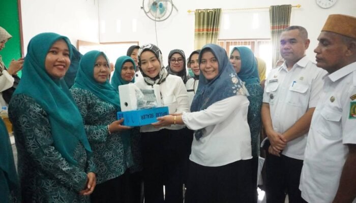 Pj. Ketua TP PKK Kabupaten Langkat Lakukan Pembinaan UP2K – PKK  di Desa Stabat Lama Wampu