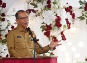 Pemerintah Kabupaten Langkat Luncurkan Program Integrasi Layanan Primer (ILP) untuk Peningkatan Pelayanan Kesehatan