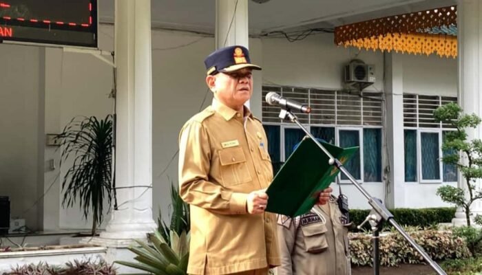 Langkat Raih Penghargaan Prestisius: Pj. Bupati Dorong Optimalisasi Dana Desa 2024