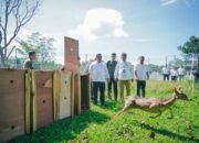 Pj Sekda Medan Lepas 15 Rusa Totol dari Istana Bogor, Taman Cadika Jadi Destinasi Baru Pecinta Satwa