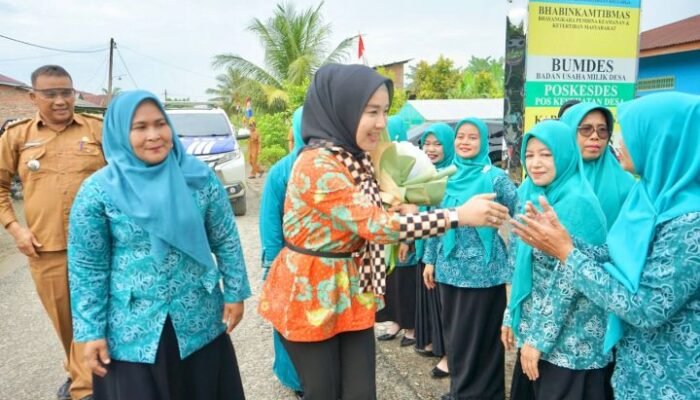 Uke Retno Wahyuni Evaluasi Calon Desa Percontohan 2024 di Telaga Jernih dan Arah Condong