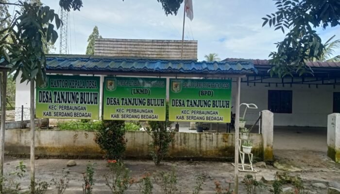 Kantor Desa Tanjung Buluh Memprihatinkan! Berlumut dan Tumbuh Rumput Gantung, Kades Diduga Abai